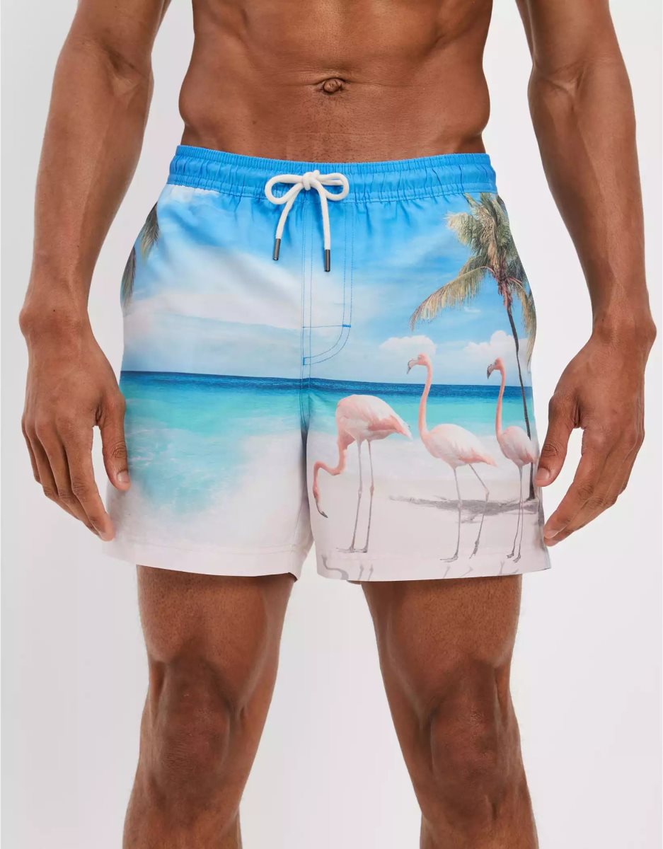 Shorts American Eagle AE 5.5